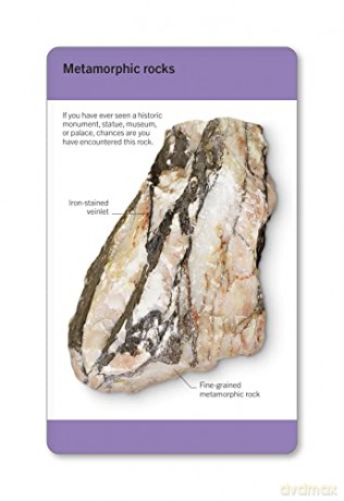 Our World in Pictures Rocks & Minerals Flash Cards (DK Our World in Pictures) - Dk [KSIĄŻKA]