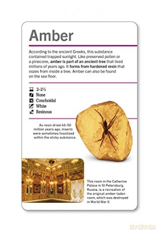 Our World in Pictures Rocks & Minerals Flash Cards (DK Our World in Pictures) - Dk [KSIĄŻKA]