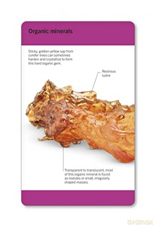 Our World in Pictures Rocks & Minerals Flash Cards (DK Our World in Pictures) - Dk [KSIĄŻKA]