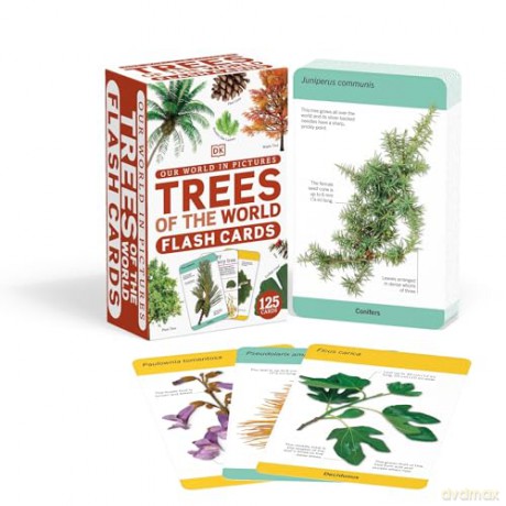 Our World in Pictures Trees of the World Flash Cards (DK Our World in Pictures) - Dk [KSIĄŻKA]