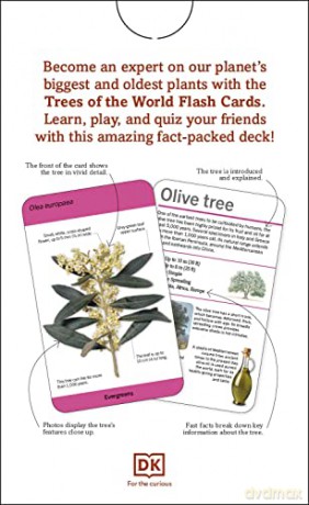 Our World in Pictures Trees of the World Flash Cards (DK Our World in Pictures) - Dk [KSIĄŻKA]