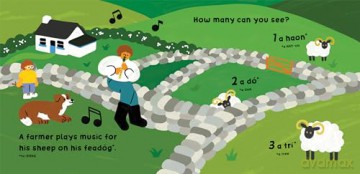 Our World: Ireland - Muireann Ní Chíobháin [KSIĄŻKA]