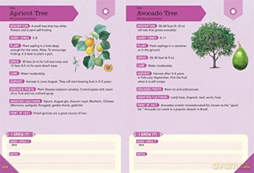 Outdoor School: Gardening: The Definitive Interactive Nature Guide - Bridget Heos [KSIĄŻKA]