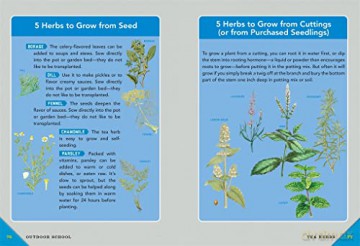 Outdoor School: Gardening: The Definitive Interactive Nature Guide - Bridget Heos [KSIĄŻKA]