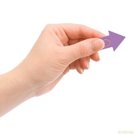Page Pointers Page Markers - Purple [KSIĄŻKA]