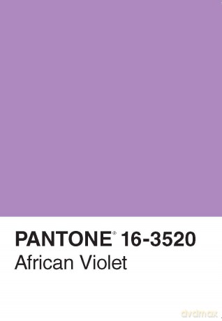 Pantone 50 Postcards - Chronicle Books [KSIĄŻKA]