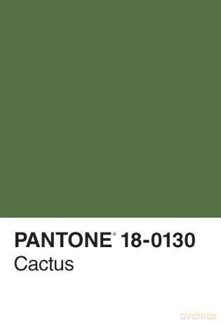 Pantone 50 Postcards - Chronicle Books [KSIĄŻKA]