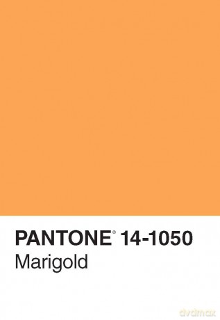 Pantone 50 Postcards - Chronicle Books [KSIĄŻKA]