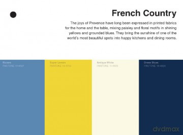 Pantone: 35 Inspirational Color Palettes: 35 Inspirational Color Palletes - Pantone Inc. [KSIĄŻKA]