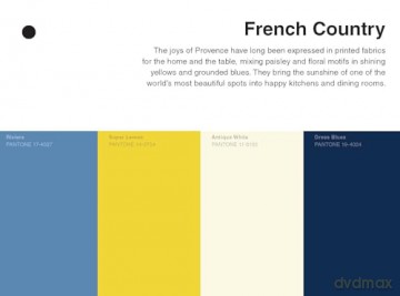 Pantone: 35 Inspirational Color Palettes: 35 Inspirational Color Palletes - Pantone Inc. [KSIĄŻKA]