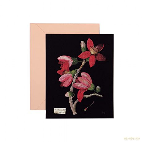 Paper Flowers Cards and Envelopes: The Art of Mary Delany - Princeton Architectural Press [KSIĄŻKA]