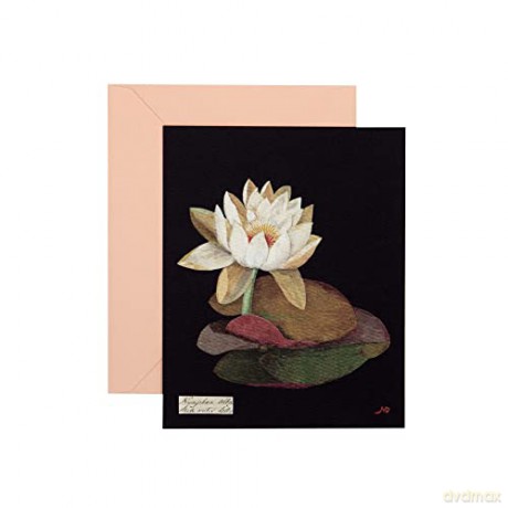 Paper Flowers Cards and Envelopes: The Art of Mary Delany - Princeton Architectural Press [KSIĄŻKA]