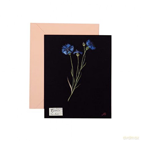Paper Flowers Cards and Envelopes: The Art of Mary Delany - Princeton Architectural Press [KSIĄŻKA]