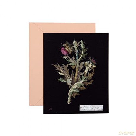 Paper Flowers Cards and Envelopes: The Art of Mary Delany - Princeton Architectural Press [KSIĄŻKA]
