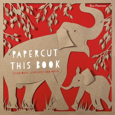 Papercut This Book: Techniques, templates and paper - Boo Paterson [KSIĄŻKA]