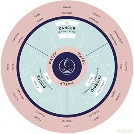 Parkers' Astrology: For Cosmic Insight and Self-Care (the Deluxe Box Set) - Julia Parker [KSIĄŻKA]