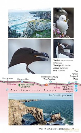Pembrokeshire Coast Short Walks Made Easy | Ordnance Survey | 10 Accessible Walks For Everybody | Guidebook | Wales | Walks | Adventure: 10 Leisurely Walks (OS Short Walks Made Easy) - C.L. Taylor [KSIĄŻKA]