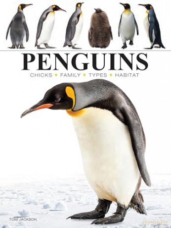 Penguins (Mini Animals) - Tom Jackson [KSIĄŻKA]
