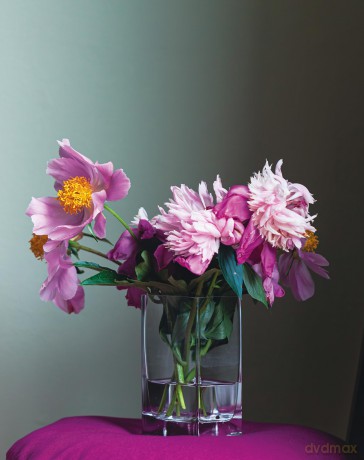 Peonies (Floramour) - Anja Klaffenbach [KSIĄŻKA]