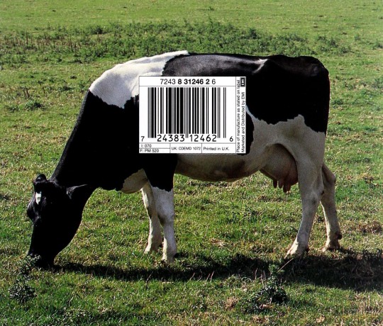Pink Floyd: Atom Heart Mother [CD]