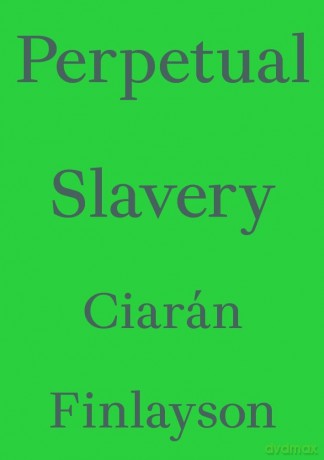 Perpetual Slavery (Critic's Essay Series) - Ciarán Finlayson [KSIĄŻKA]
