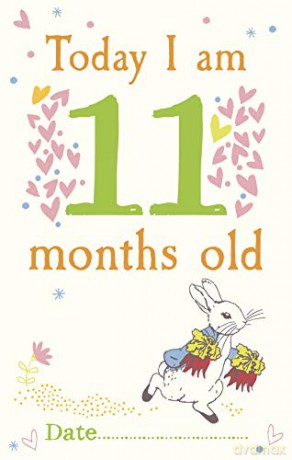 Peter Rabbit Baby Cards: for Milestone Moments [KSIĄŻKA]