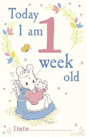 Peter Rabbit Baby Cards: for Milestone Moments [KSIĄŻKA]