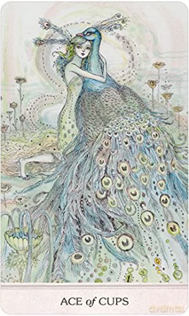 Phantasma Tarot - Paulina Fae [KSIĄŻKA]