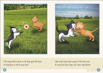 Phonic Books Dandelion Readers Set 4 Units 1-10 - Phonic Books [KSIĄŻKA]
