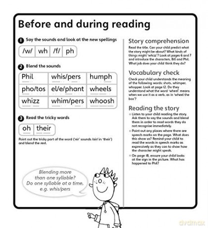 Phonics - Learn at Home Pack 4 (Bug Club), Phonics Sets 10-12 for ages 5-6 (Six stories + Parent Guide + Activity Book) - Rhona Johnston [KSIĄŻKA]