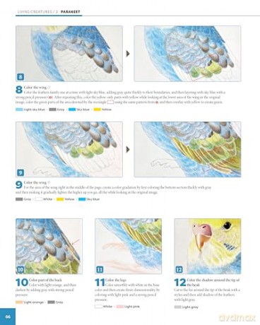 Photorealistic Colored Pencil Drawing Workbook: Learn Essential Techniques through 16 Projects - Irodoreal [KSIĄŻKA]