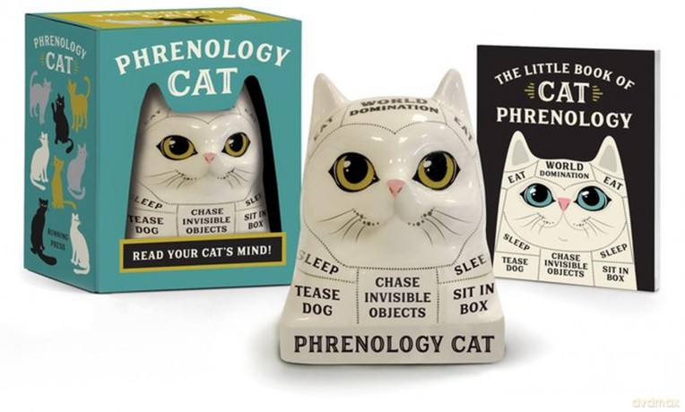 Phrenology Cat: Read Your Cat's Mind! (Rp Minis) - Marlo Scrimizzi [KSIĄŻKA]