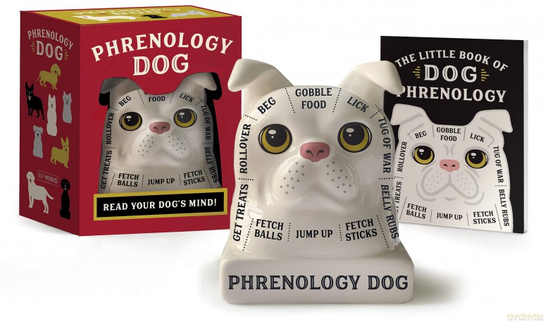 Phrenology Dog: Read Your Dog's Mind! (Rp Minis) - Brenna Dinon [KSIĄŻKA]