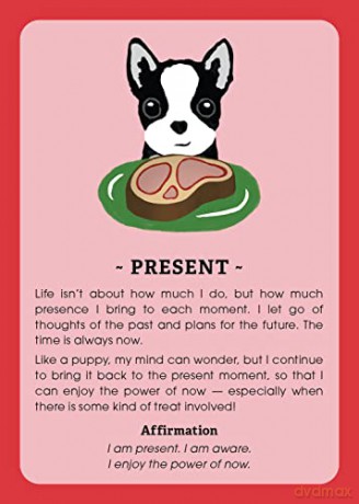 Pick Me Up - Make Joy a Daily Practice: 44 Empowerment Cards to Pick You Up - Courtney Krulis [KSIĄŻKA]