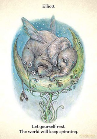Pixiekins: A Daily Inspiration Deck - Paulina Cassidy [KSIĄŻKA]