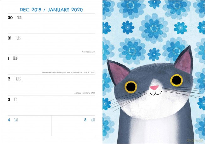 Planet Cat A6 Diary 2020 [KSIĄŻKA]