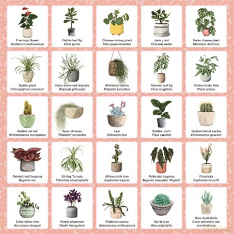 Plant Bingo: A Game for Green Thumbs - Amberly Kramhoft [KSIĄŻKA]