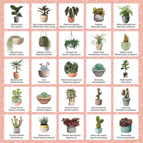 Plant Bingo: A Game for Green Thumbs - Amberly Kramhoft [KSIĄŻKA]