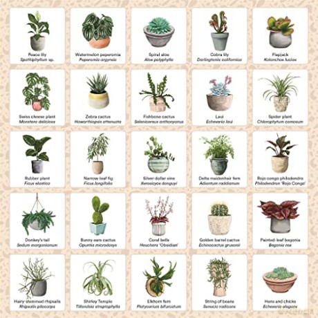Plant Bingo: A Game for Green Thumbs - Amberly Kramhoft [KSIĄŻKA]