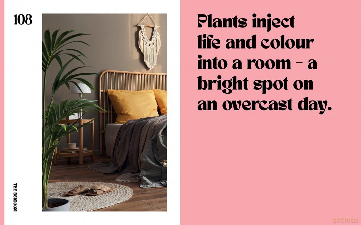 Plant House: Beautiful spaces inspired by nature - Harper by Design [KSIĄŻKA]