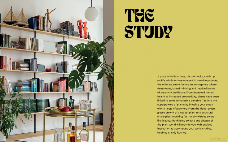 Plant House: Beautiful spaces inspired by nature - Harper by Design [KSIĄŻKA]