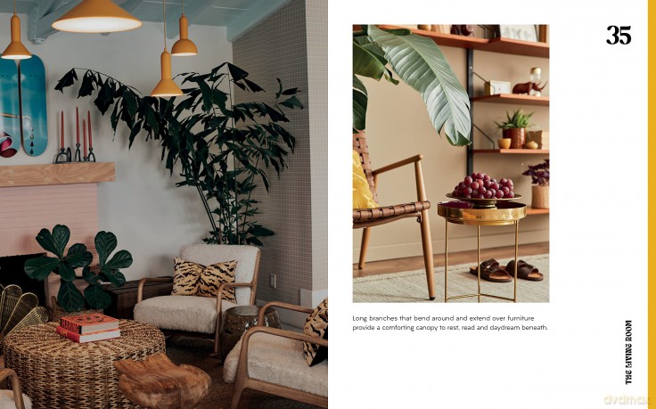 Plant House: Beautiful spaces inspired by nature - Harper by Design [KSIĄŻKA]
