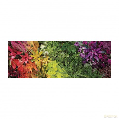 Plant Life 1000 Piece Panoramic Puzzle - Galison [PUZZLE]