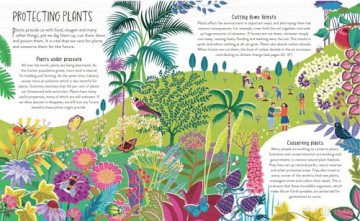 Plant Power: The Importance of Plants in our World - Claire Llewellyn [KSIĄŻKA]
