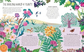 Plant Power: The Importance of Plants in our World - Claire Llewellyn [KSIĄŻKA]
