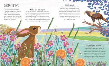 Plant Power: The Importance of Plants in our World - Claire Llewellyn [KSIĄŻKA]