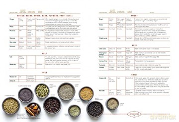 Plant-Based India: Nourishing Recipes Rooted in Tradition - Dr Sheil Shukla [KSIĄŻKA]