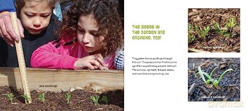 Planting a Garden in Room 6: From Seeds to Salad (Life Cycles in Room 6) - Caroline Arnold [KSIĄŻKA]