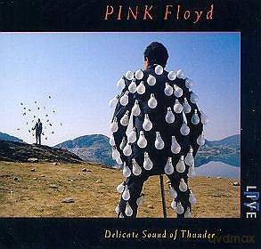Pink Floyd: Delicate Sound Of Thunder [2CD]