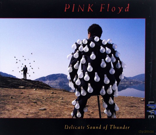 Pink Floyd: Delicate Sound Of Thunder [2CD]